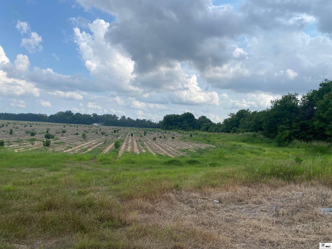 Farm Ranch in Rayville, Louisiana, United States 5 - 16755036