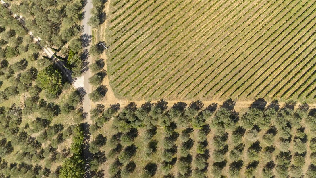 Estate in Montefiridolfi, San Casciano in Val di Pesa, Tuscany 5 - 16753632