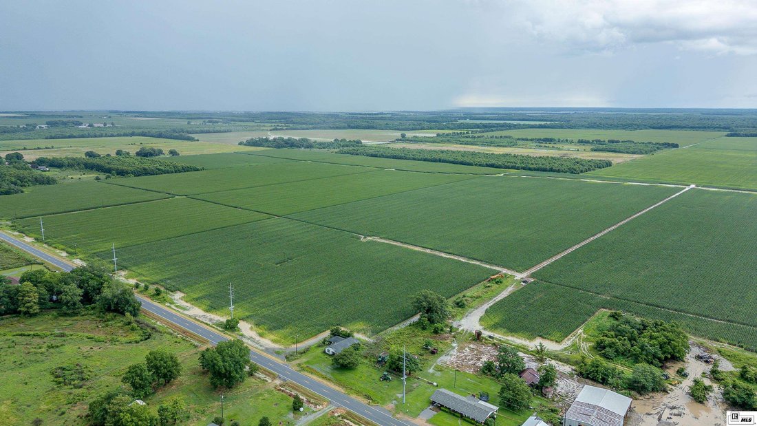 Farm Ranch in Rayville, Louisiana, United States 3 - 16754996
