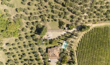 Estate in San Colombano a Bibbione, Tuscany, Italy 2