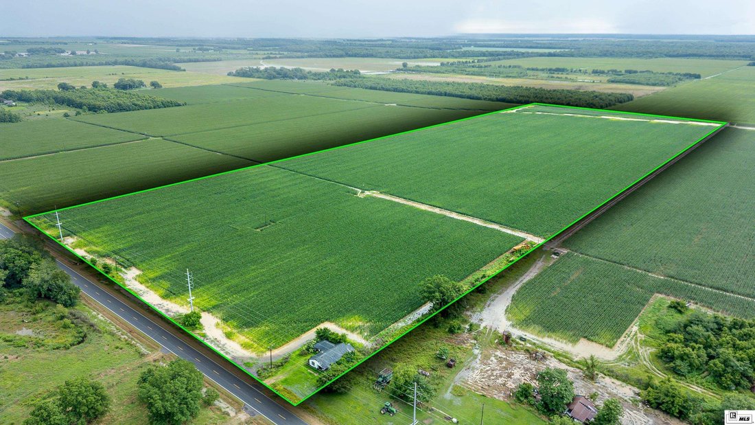 Farm Ranch in Rayville, Louisiana, United States 2 - 16754996