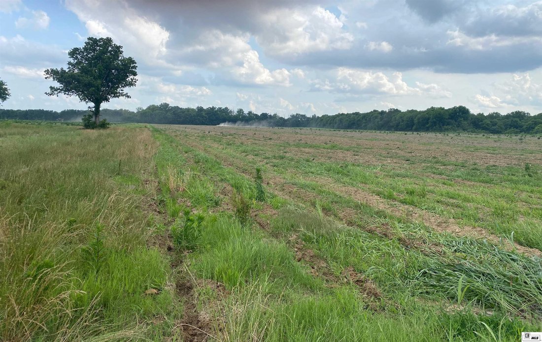 Farm Ranch in Rayville, Louisiana, United States 1 - 16755036
