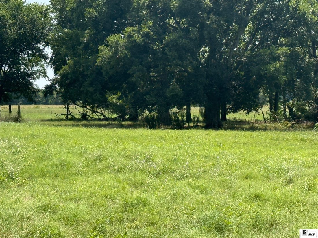 Farm Ranch in Rayville, Louisiana, United States 5 - 16754960