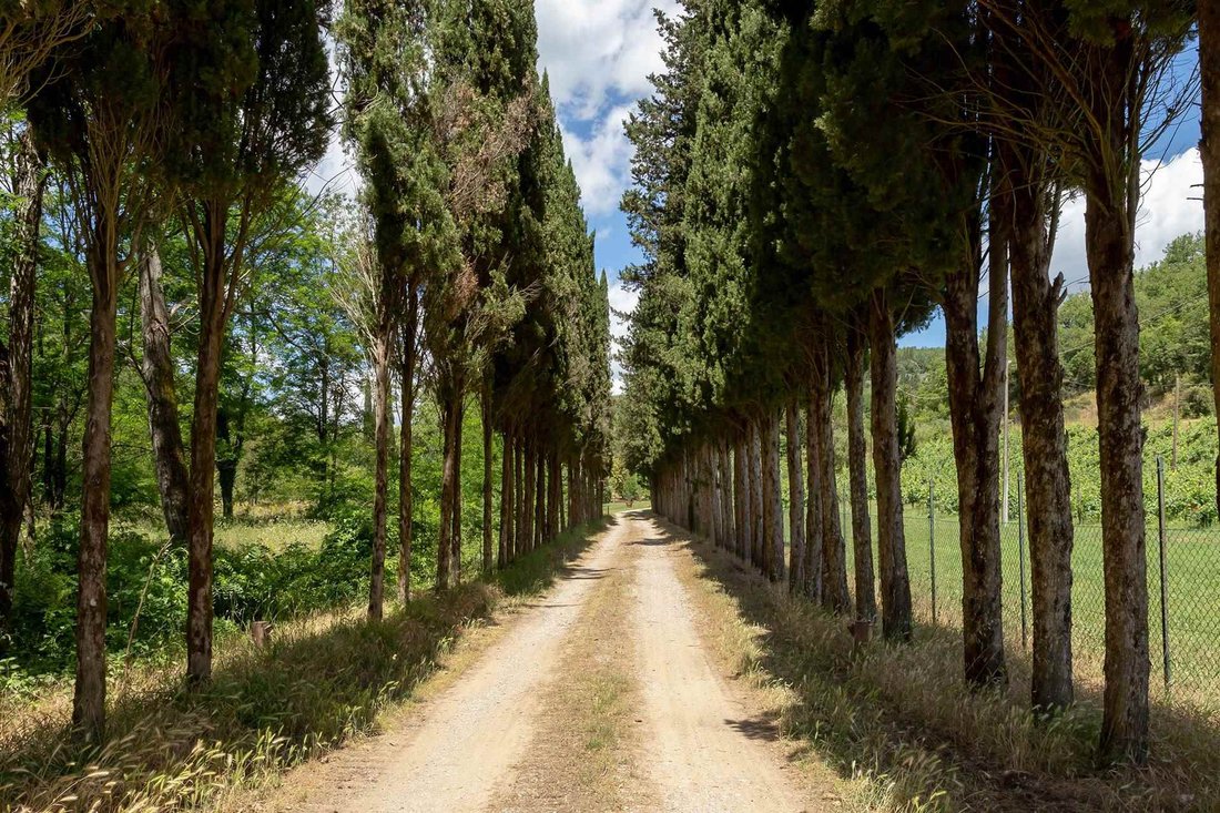 Estate in Gaiole in Chianti, Tuscany, Italy 4 - 16753901