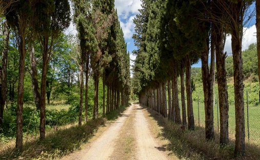 Gaiole In Chianti: Medieval Tower With Private Pool