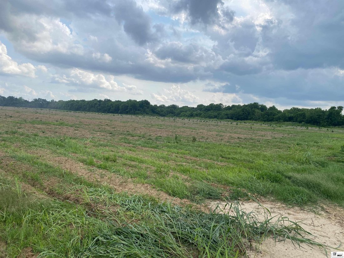 Farm Ranch in Rayville, Louisiana, United States 4 - 16755036