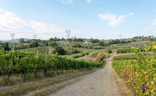 Estate in Poggio a Caiano, Tuscany, Italy 1