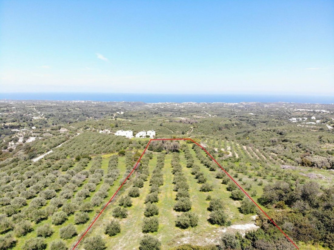 Land in Crete, Greece 1 - 16759706