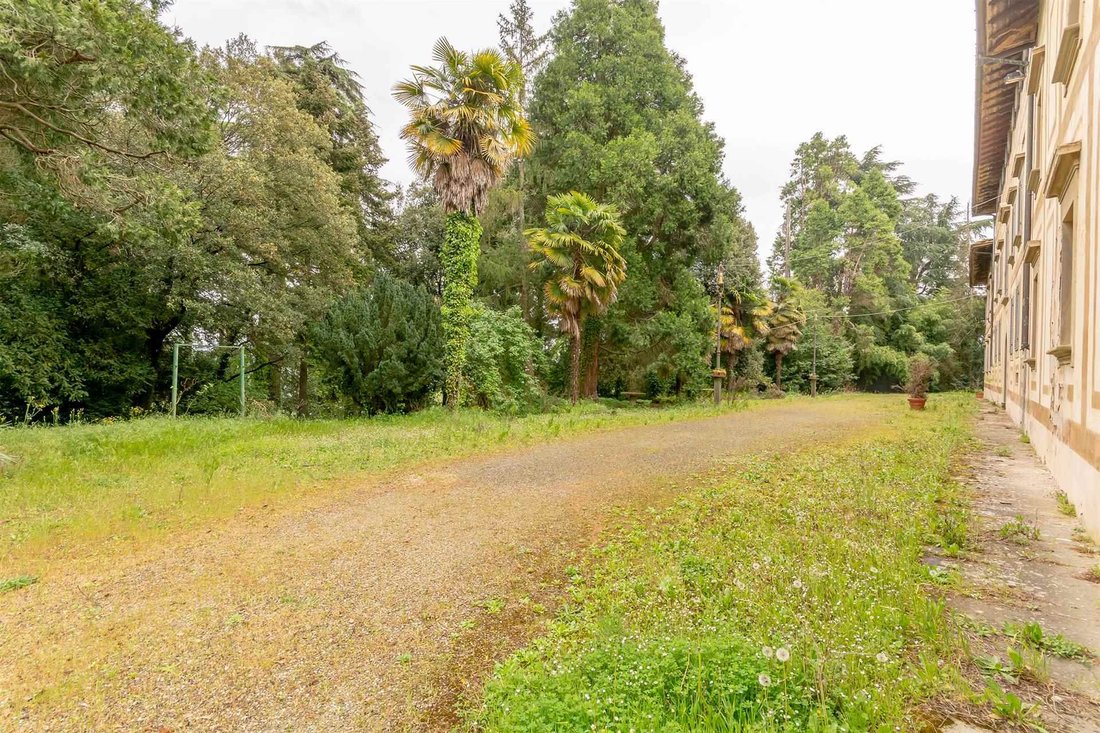 Estate in Barberino di Mugello, Tuscany, Italy 5 - 16753479