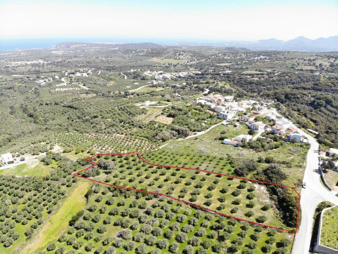 Land in Crete, Greece 5 - 16759706