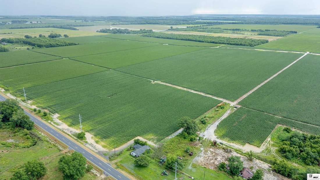 Farm Ranch in Rayville, Louisiana, United States 1 - 16754996