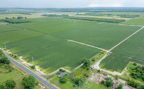 Farm Ranch in Rayville, Louisiana, United States 1