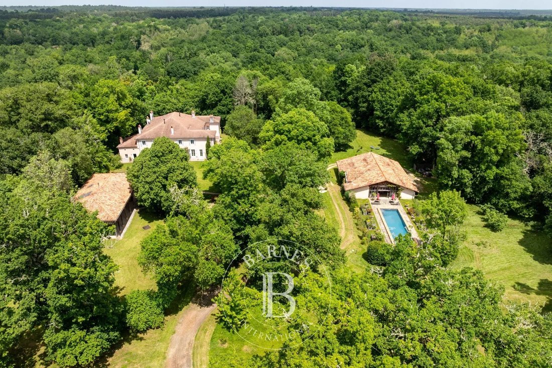 Estate in Morcenx-la-Nouvelle, Nouvelle-Aquitaine, France 3 - 16764900
