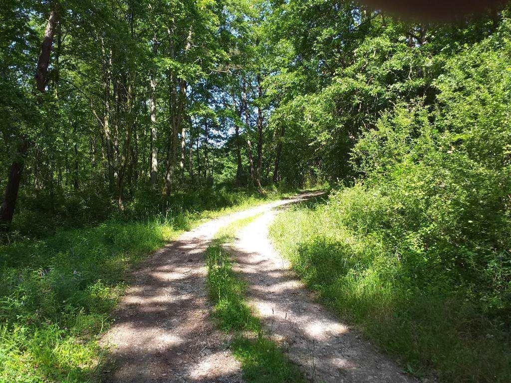 Land in Barberino di Mugello, Tuscany, Italy 4 - 16753580
