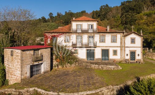 Finca à Baiao (Santa Leocadia) e Mesquinhata, District de Porto, Portugal 1