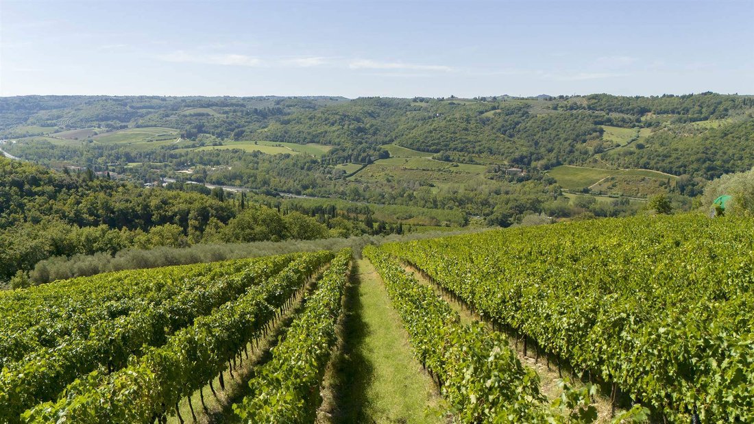 Estate in Montefiridolfi, San Casciano in Val di Pesa, Tuscany 3 - 16753632