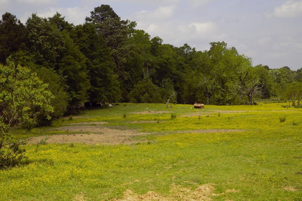 Land in Corrigan, Texas, United States 2 - 16755819