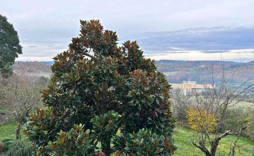Castle for Sale in Impruneta, Tuscany, Italy