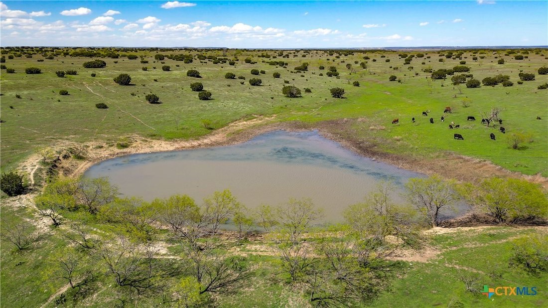 Azienda agricola a Lometa, Texas, Stati Uniti 3 - 16756328