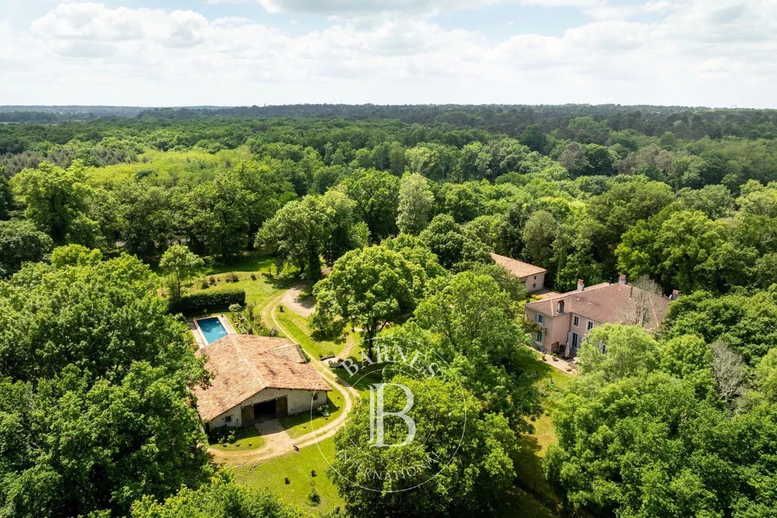 Estate in Morcenx-la-Nouvelle, Nouvelle-Aquitaine, France 5 - 16764900