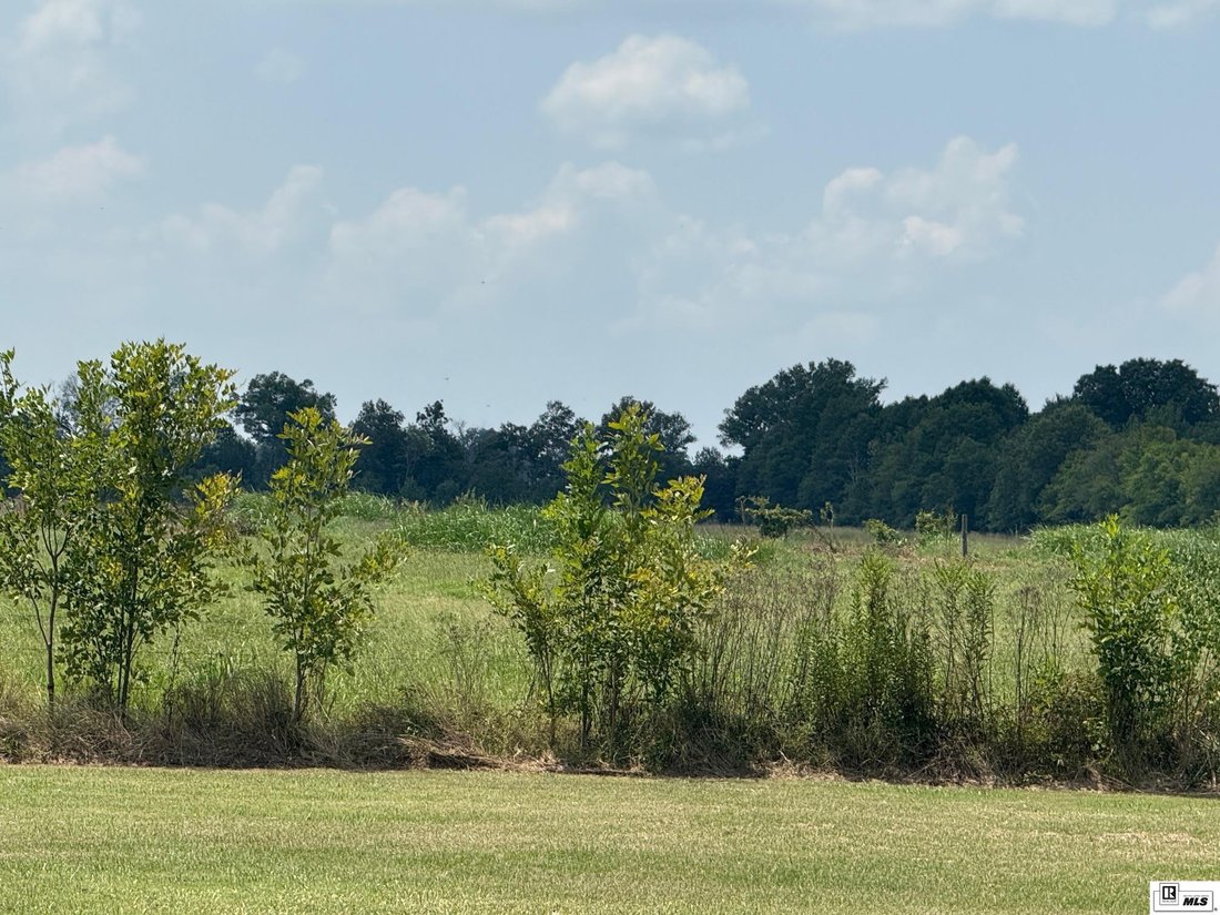 Farm Ranch in Rayville, Louisiana, United States 1 - 16754960