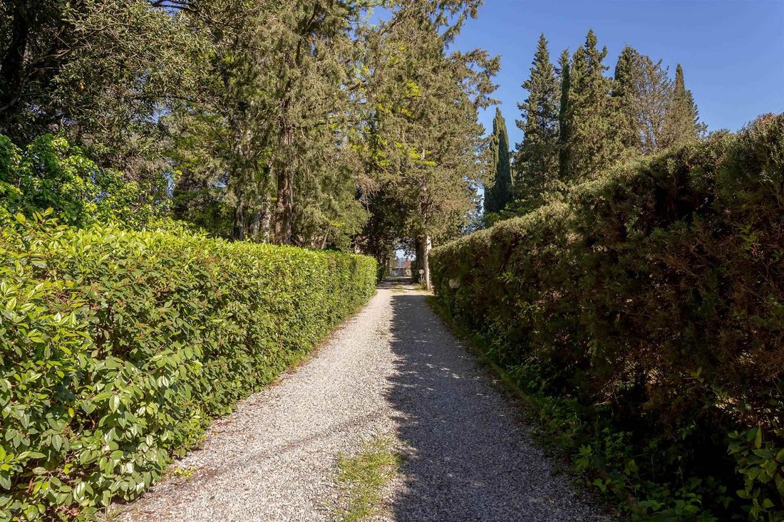 Strada In Chianti, Greve in Chianti, Tuscany 4 - 16753684