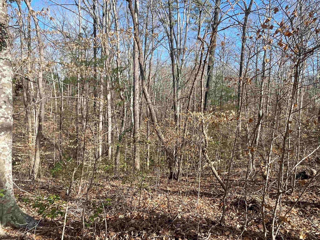 Land in Indian Land, South Carolina, United States 5 - 16754382