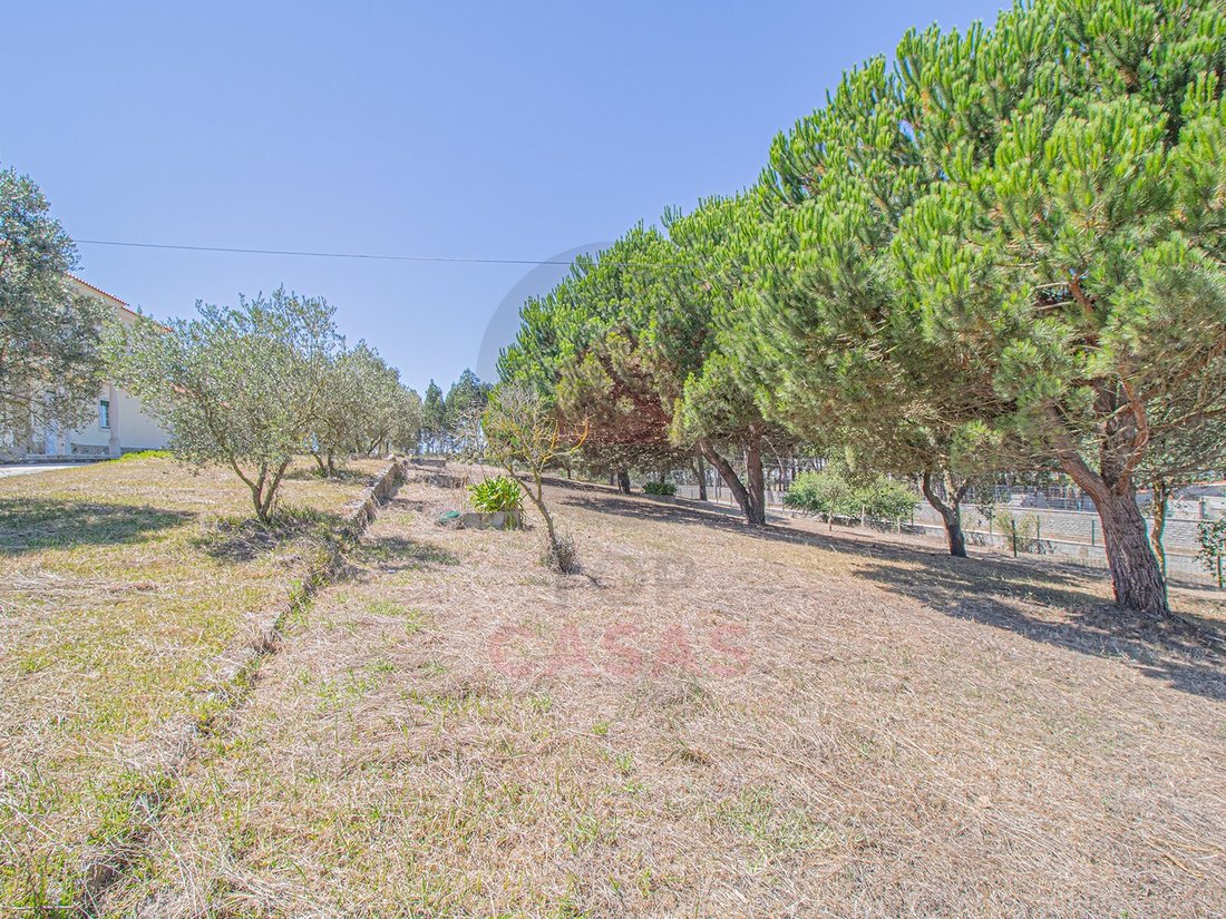 House in Santo Onofre e Serra do Bouro, Leiria District, Portugal 5 - 13110347