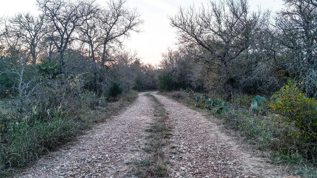 Farm Ranch in Cedar Creek, Texas, United States 1 - 16760823