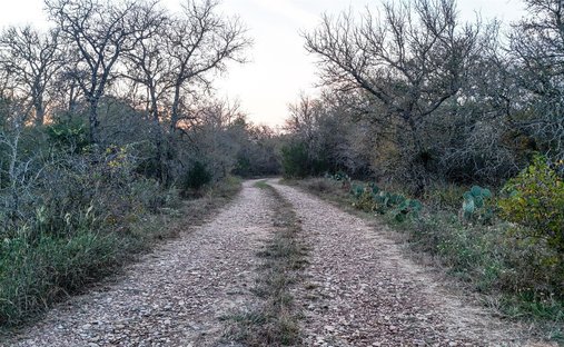 Azienda agricola a Cedar Creek, Texas, Stati Uniti 1