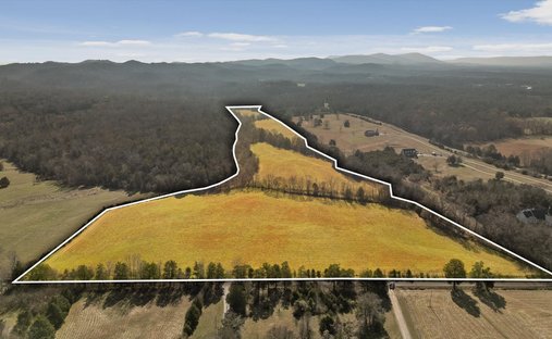 Farm Ranch in Chickamauga, Georgia, United States 1
