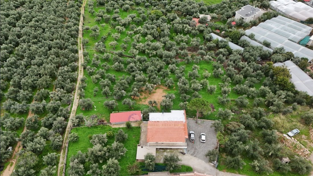 House in Kalamata, Peloponnese, Western Greece and the Ionian, Greece 4 - 16761867