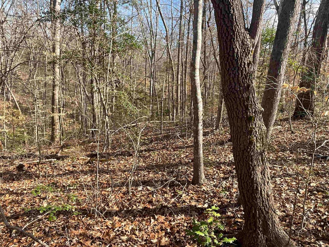 Land in Indian Land, South Carolina, United States 3 - 16754382