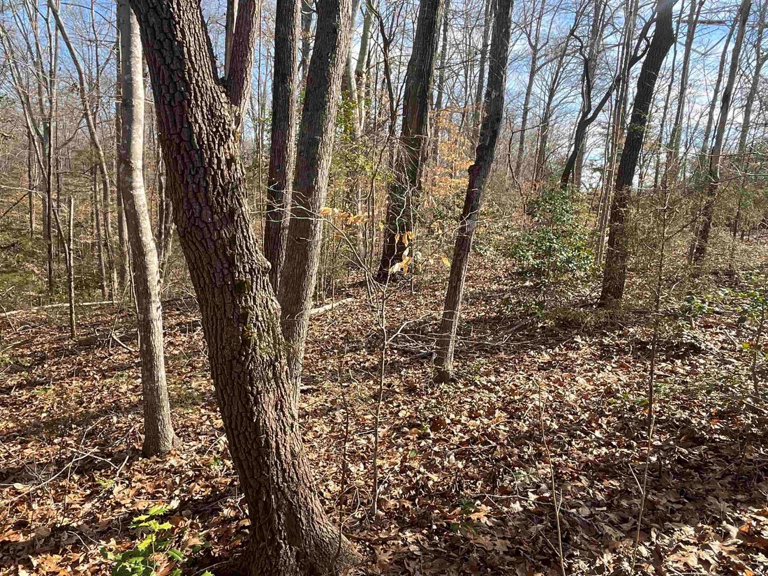 Land in Indian Land, South Carolina, United States 2 - 16754382