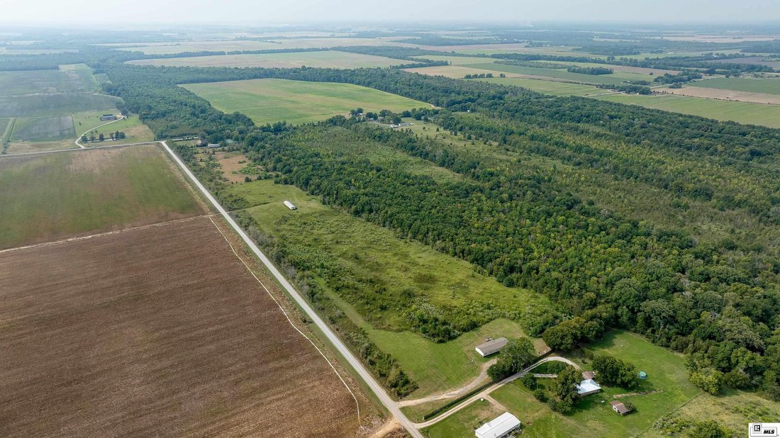 Farm Ranch in Rayville, Louisiana, United States 5 - 16760847