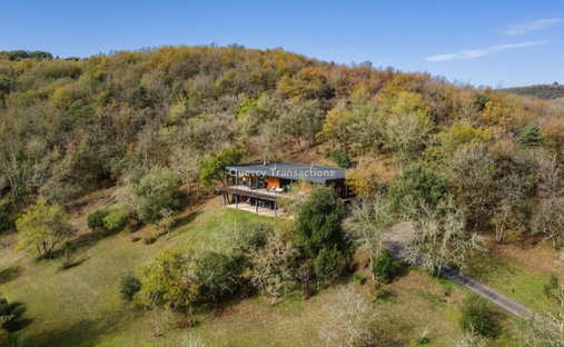 Castle for Sale in Montignac, Nouvelle-Aquitaine, France - 3