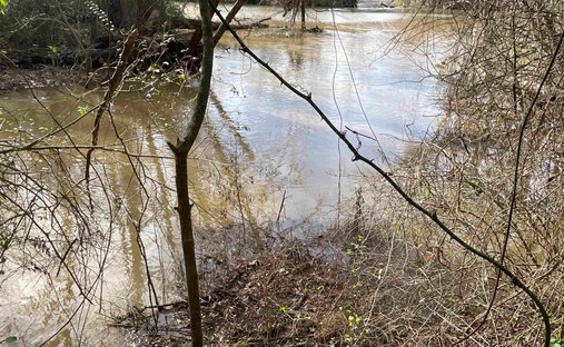 Land in Indian Land, South Carolina, United States 1