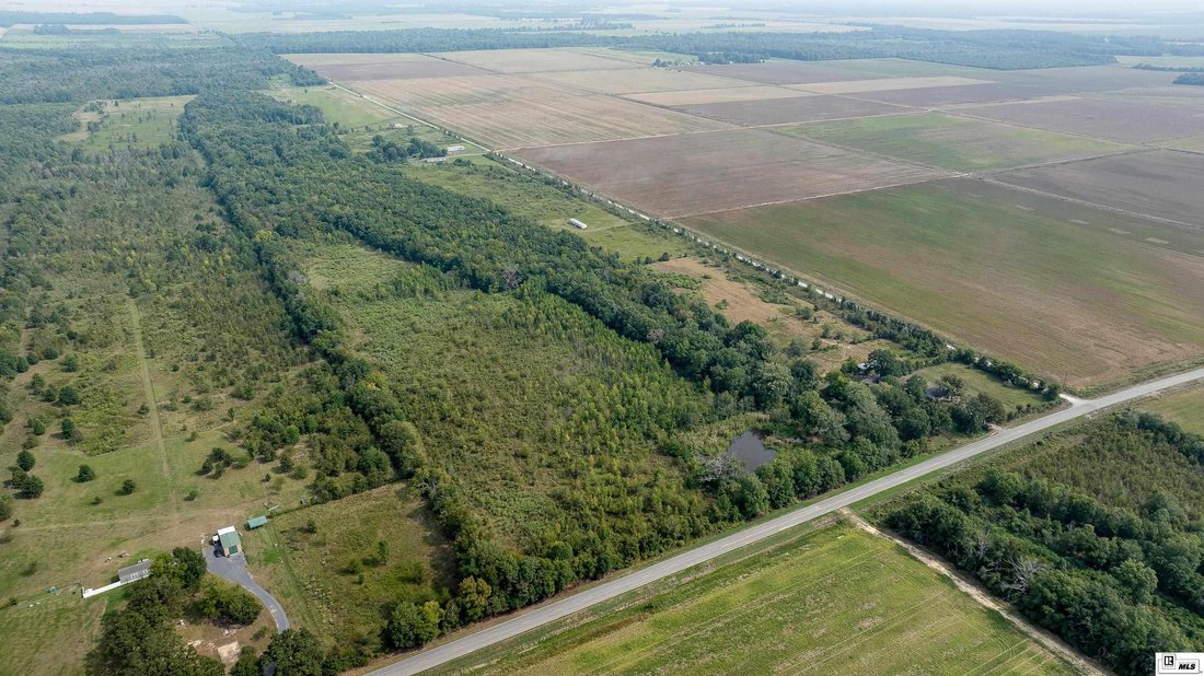 Farm Ranch in Rayville, Louisiana, United States 3 - 16760847