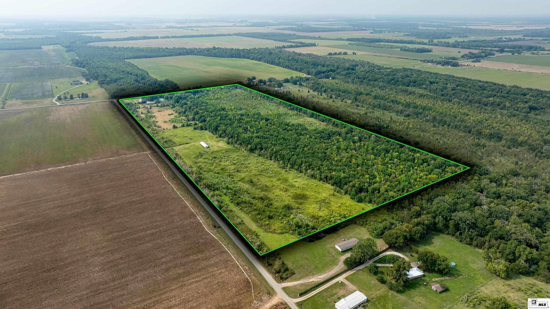 Farm Ranch in Rayville, Louisiana, United States 4 - 16760847