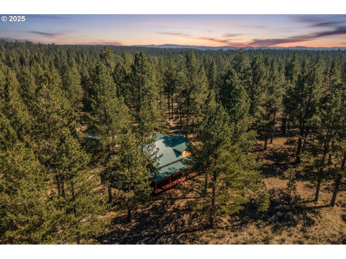 House in Canyon City, Oregon, United States 1 - 16753972