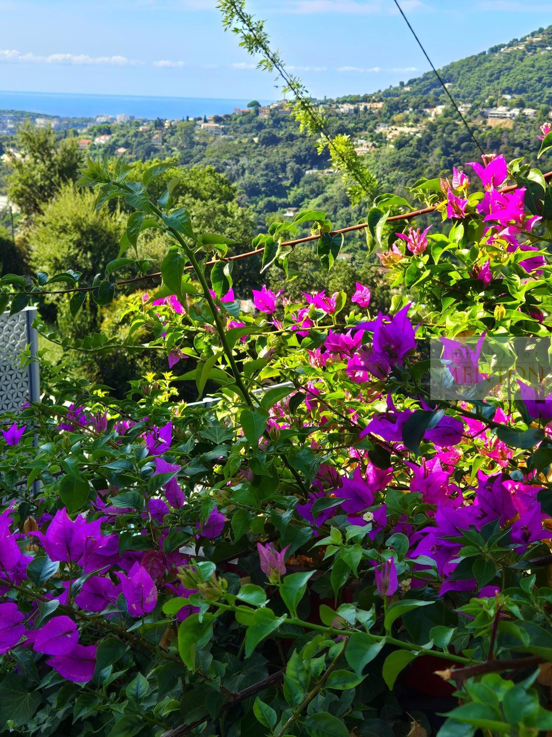 Apartment in Menton, Provence-Alpes-Côte d'Azur, France 5 - 16081041
