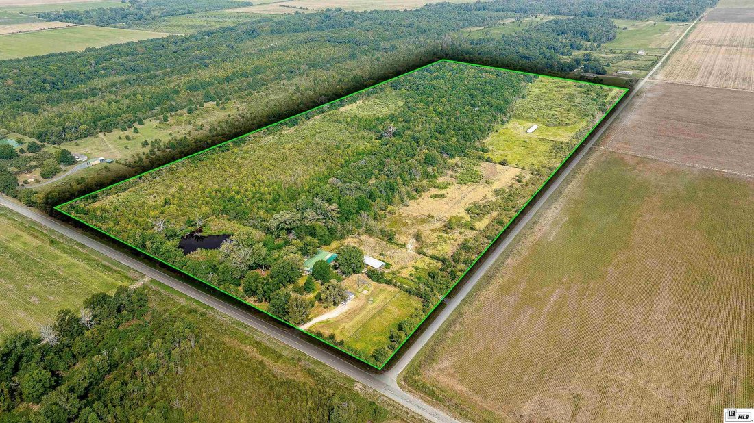Farm Ranch in Rayville, Louisiana, United States 1 - 16760847