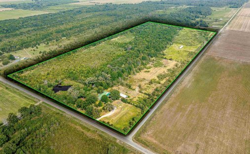 Farm Ranch in Rayville, Louisiana, United States 1