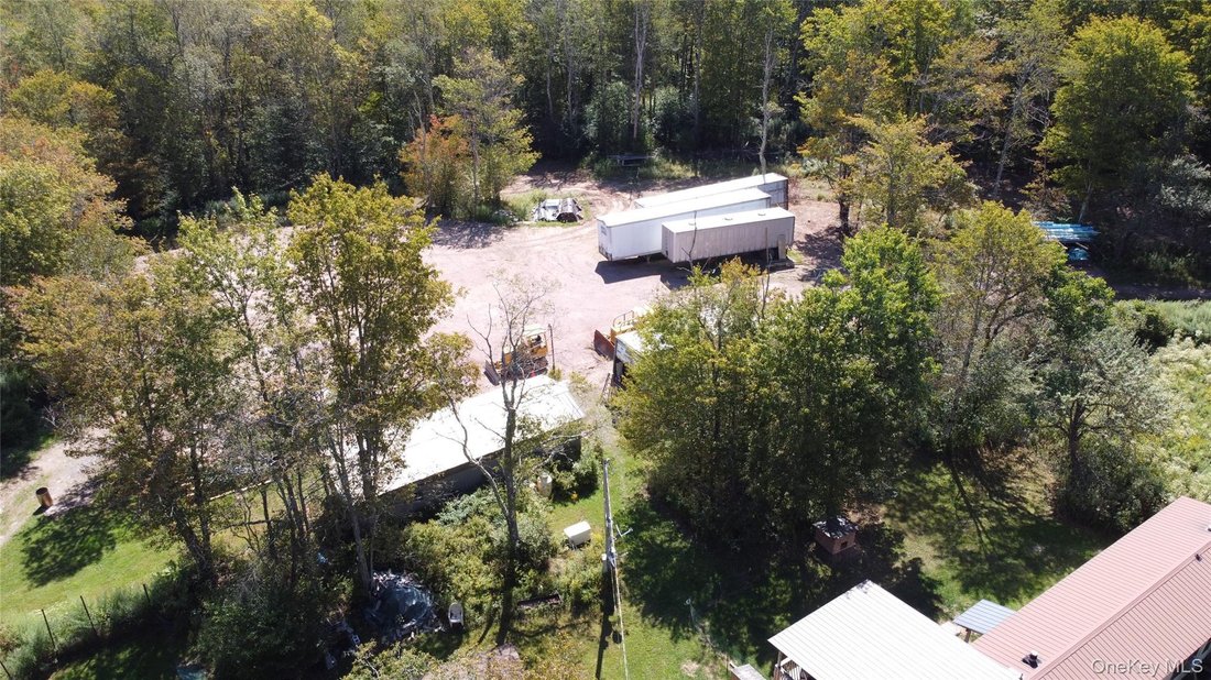 House in Livingston Manor, New York, United States 5 - 16756457