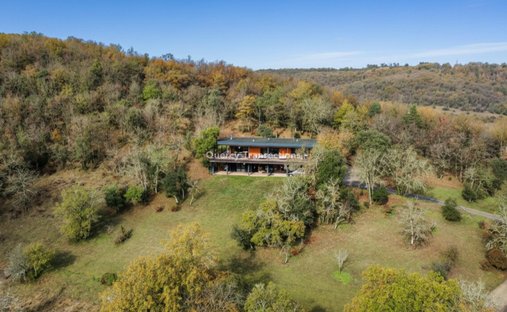 Castle for Sale in Montignac, Nouvelle-Aquitaine, France