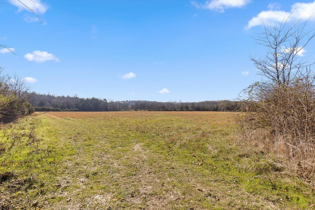 Farm Ranch in Chickamauga, Georgia, United States 3 - 16754156
