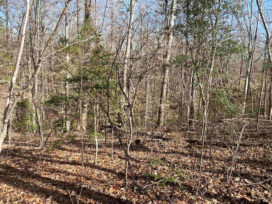 Land in Indian Land, South Carolina, United States 4 - 16754382