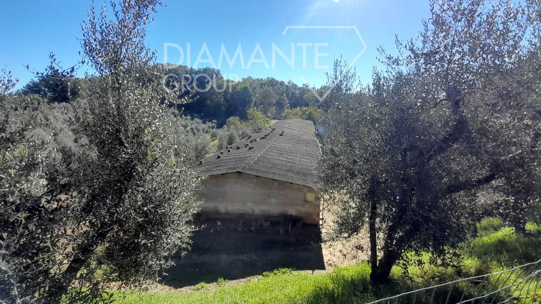 Farm Ranch in Center, Arezzo, Tuscany 3 - 16758202