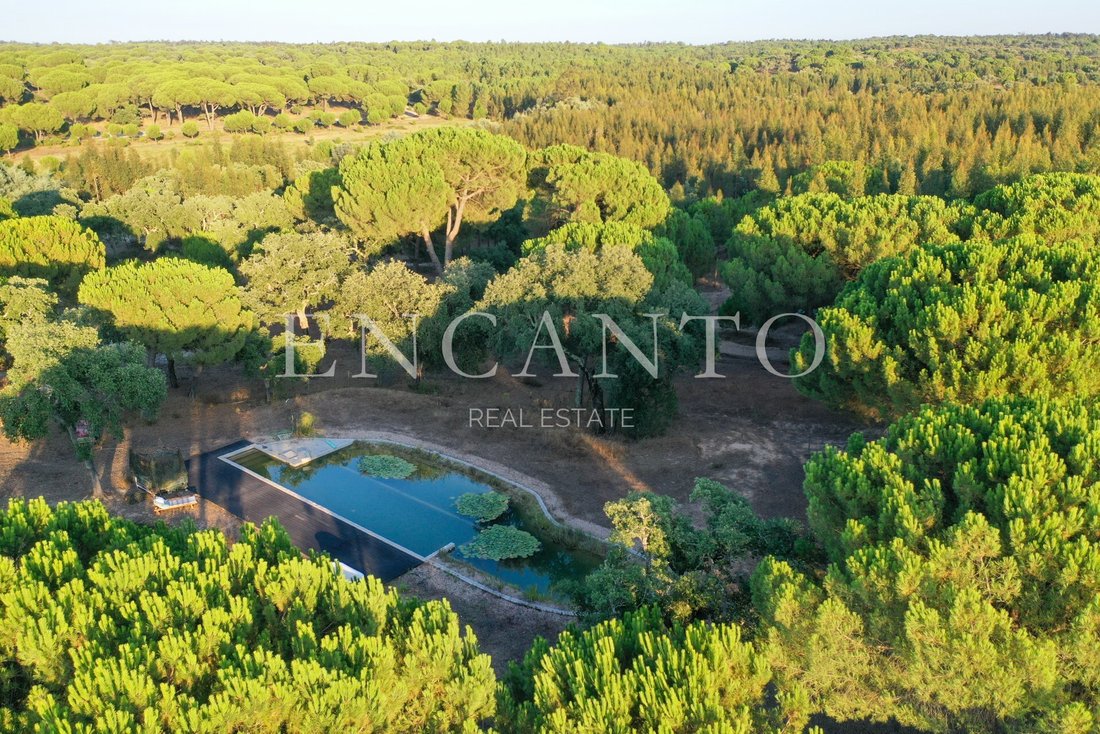 Finca in Corticadas de Lavre e Lavre, Évora District, Portugal 3 - 16762074