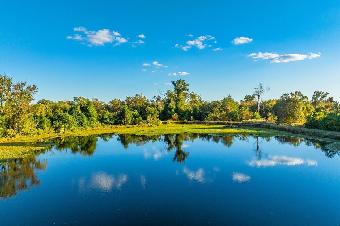 Land in Chandler, Texas, United States 2 - 16754171